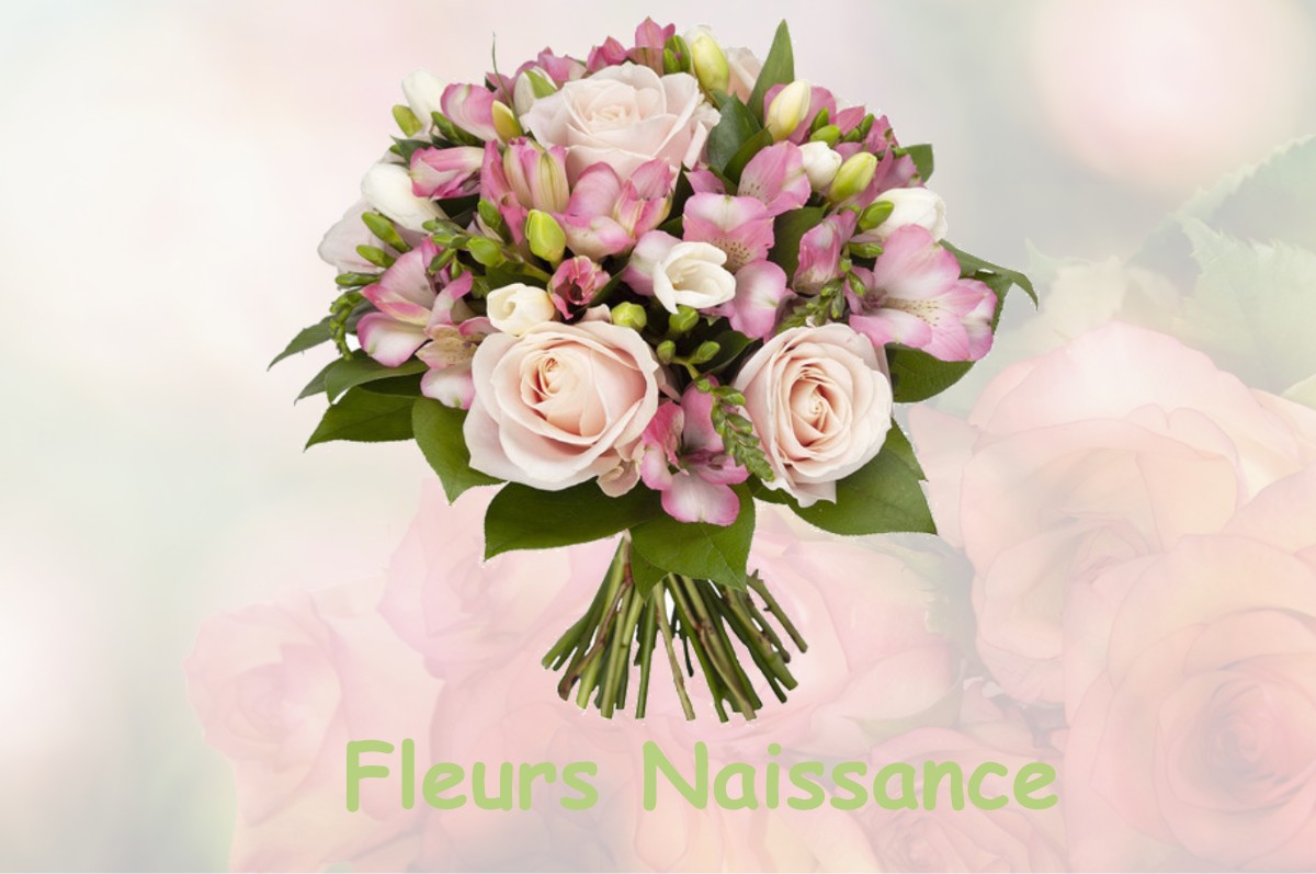 fleurs naissance SAINT-MAUR-DES-FOSSES